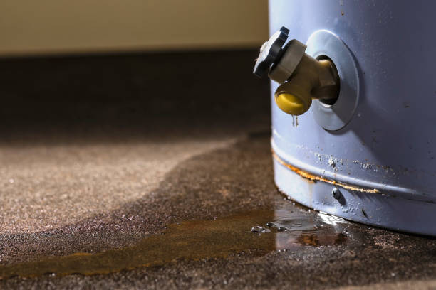 Best Local water damage restoration  in Lynnwood, WA