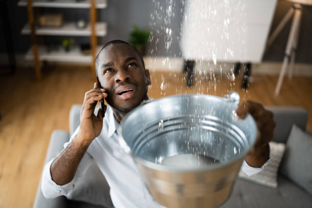 Best Water damage restoration experts  in Lynnwood, WA