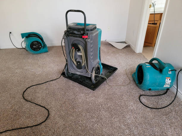 Best Basement water damage restoration  in Lynnwood, WA