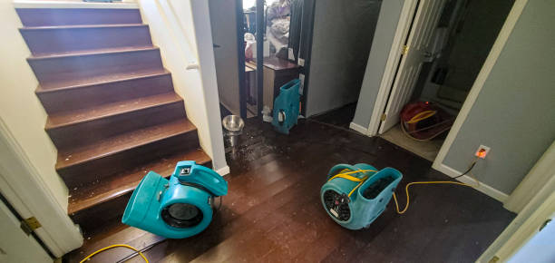 Best Flood damage cleanup  in Lynnwood, WA
