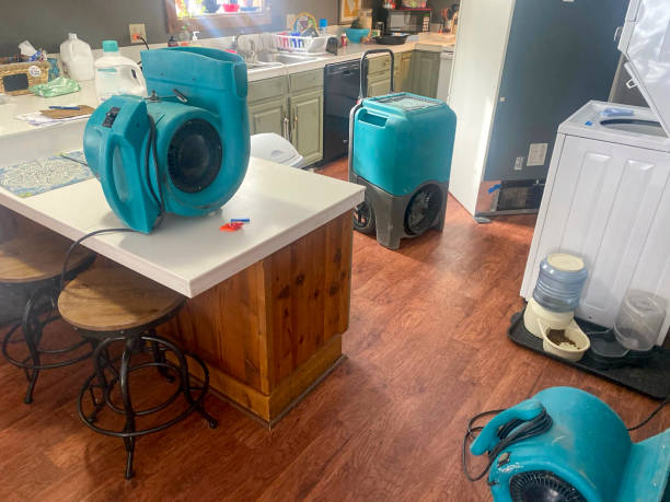 Best 24/7 water damage repair  in Lynnwood, WA