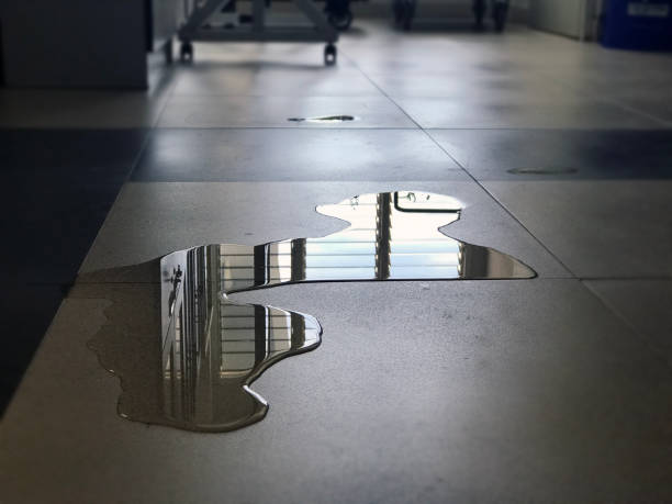 Lynnwood, WA Water damage restoration Company