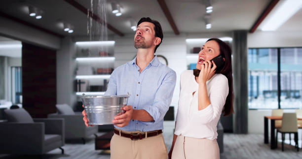 Best Water damage contractors near me  in Lynnwood, WA