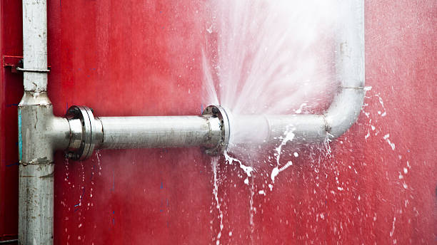Best Professional water damage repair  in Lynnwood, WA