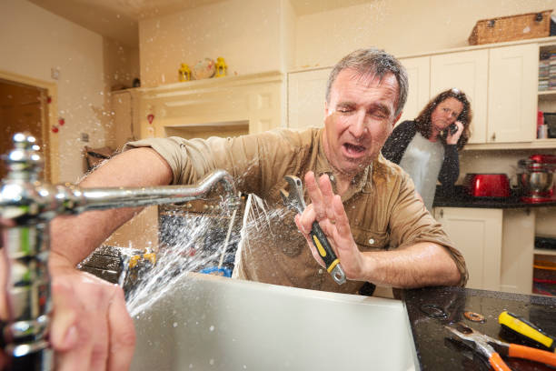 Best Water damage restoration near me  in Lynnwood, WA